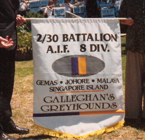 2/30 Battalion Banner
Keywords: 20101103h