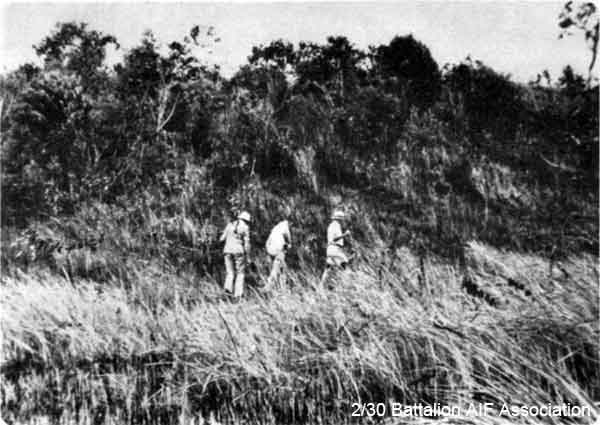 1979 Tour, Day 07
Ayer Hitam 17/1/1979 - Ron Maston, Kevin Ward and "Doc" Wilson approaching Lalang Hill from the rear.

Left to right:
1) NX27550 - WILSON, David Royce (Doc), A/Cpl. - A Company, 9 Platoon
2) NX47865 - WARD, Kevin James, Pte. - A Company, 8 Platoon
3) NX70458 - MASTON, Ronald Harry (Bomb Happy), Capt. - C Company, 2 l/c
Included in the report of the 2/30 Bn Group Tour to Malaysia and Singapore. See details in [url=http://www.230battalion.org.au/Makan/Issues/Makan248.htm#Day07]Makan 248, Day 7, 17/1/1979.[/url]
Keywords: Makan248