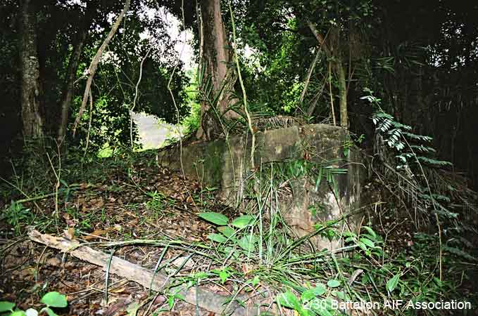 Mount Serapong, Blakang Mati
Remains of a gun emplacement at Fort Serapong.
Keywords: 061226